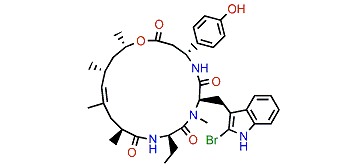 Jaspamide D